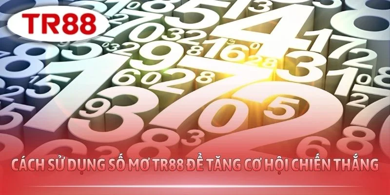 Cách sử dụng số mơ TR88 để tăng cơ hội chiến thắng