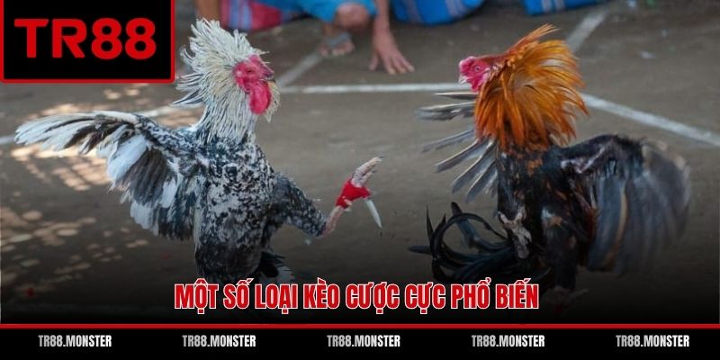 Một số loại kèo cược cực phổ biến
